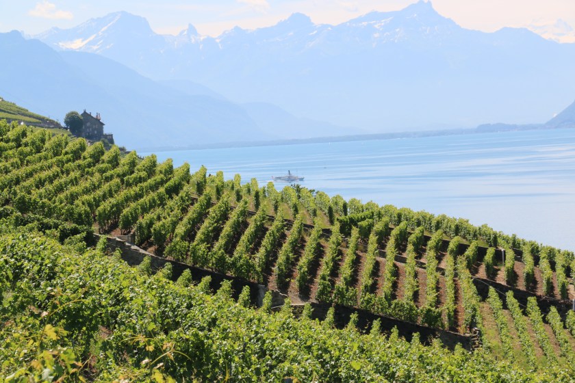 Lavaux Switzerland