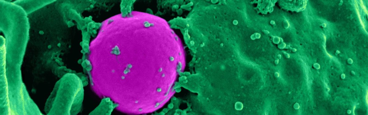 Trust me I’m a&nbsp;…